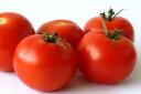 Tomatoes are Safe to Eat - Buy Local